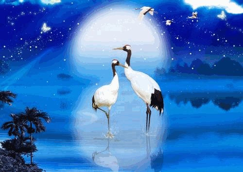 電動(dòng)駕駛式保潔車